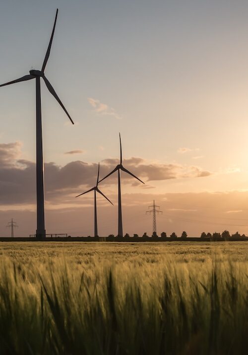 A scenic view of a wind farm at sunset, highlighting the massive turbines that require regular wind blade inspection to operate safely and efficiently.