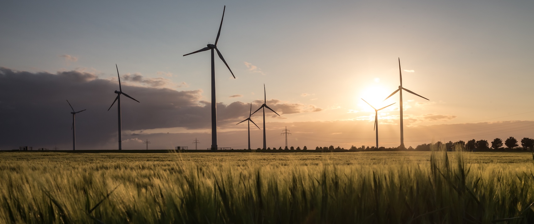 From Innovation to Operation: Ensuring the Integrity of Next-Gen Wind Blades